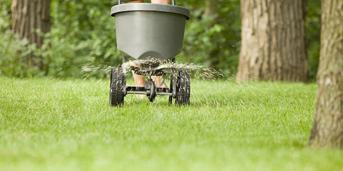 Mastering Lawn Fertilizer: A Comprehensive Guide