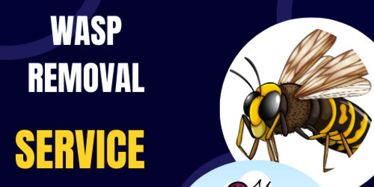 Protect Your Home Expert Wasp Removal Coimadai Services