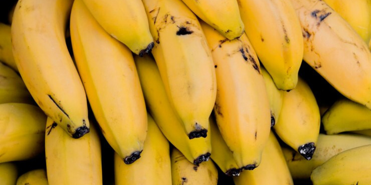 Exploring the Diverse Varieties of Bananas in India