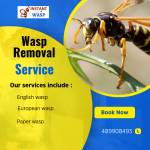 Instant Wasp Removal Profile Picture