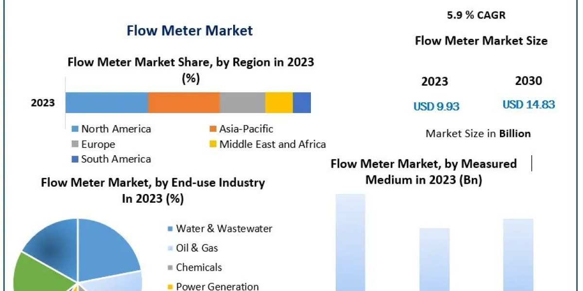 Innovations in Flow Monitoring: Analyzing the Flow Meter Market (2024-2030)