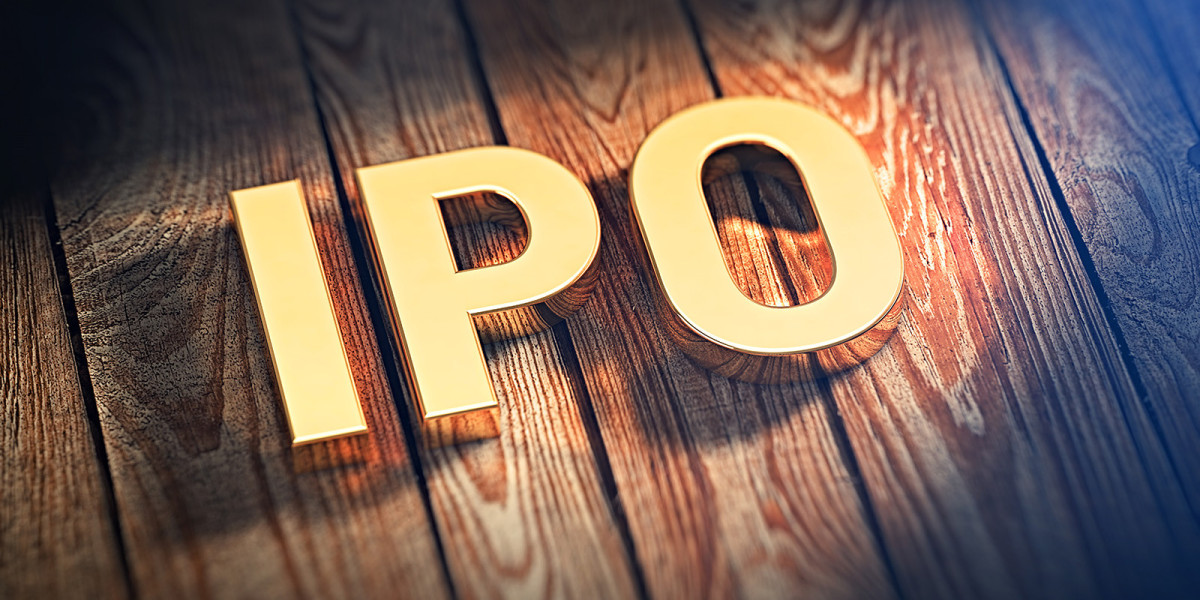 Expert Analysis on IPO GMP: What to Expect in 2024