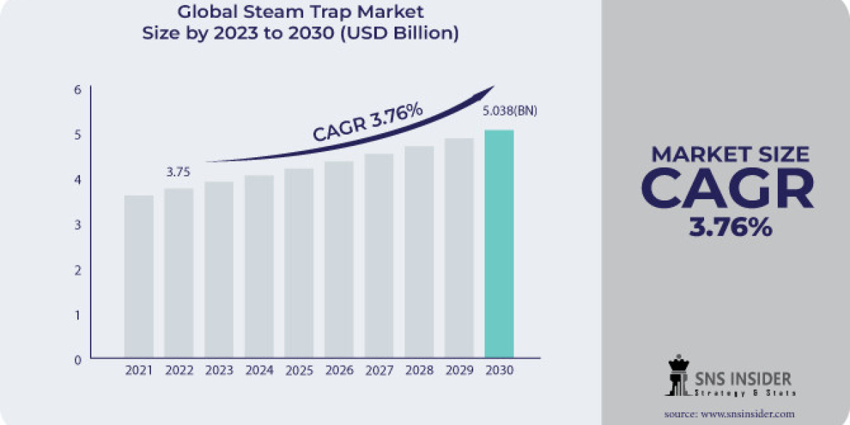 Steam Trap Market Forecast: Market Outlook and Forecast