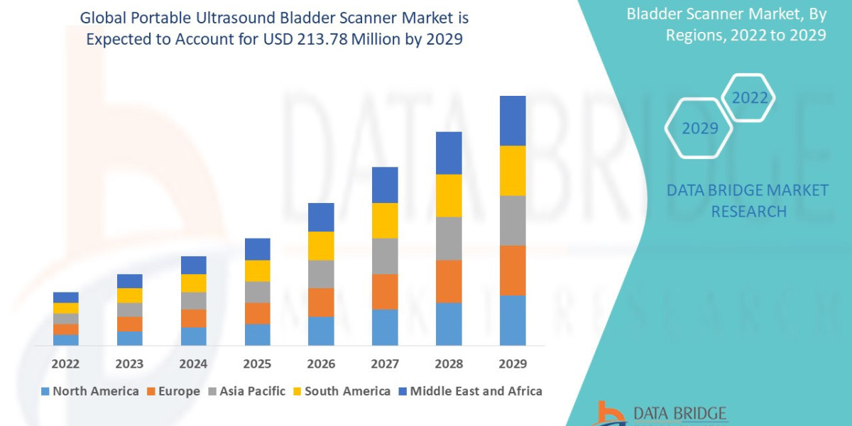 Portable Ultrasound Bladder Scanner Market Size, Share, Trends, Growth and Competitor Analysis 2029