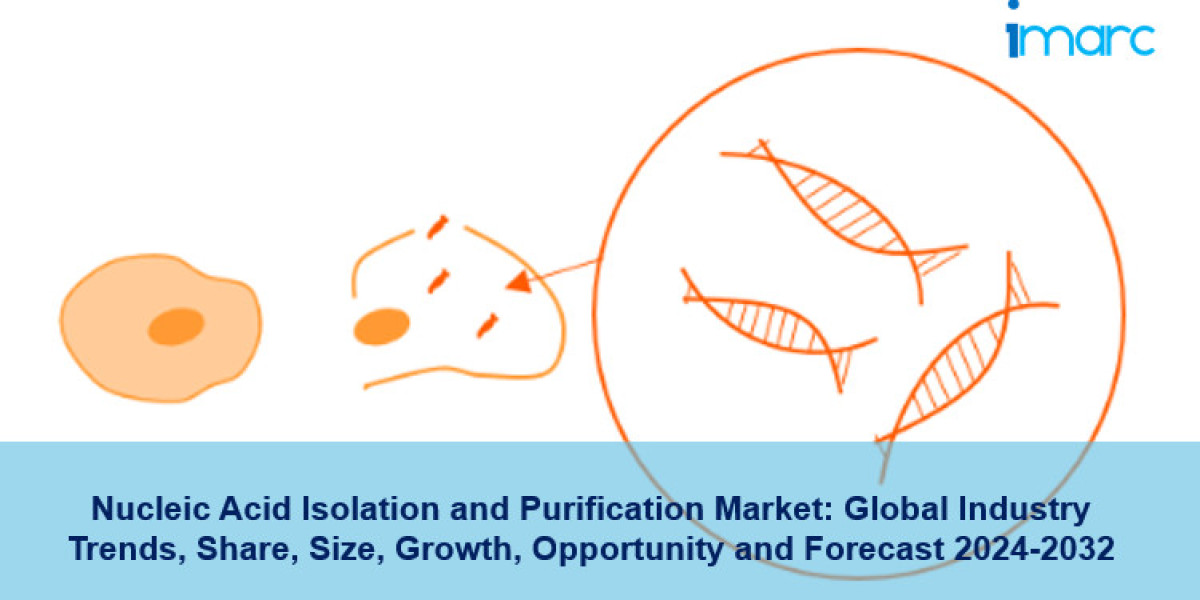 Nucleic Acid Isolation and Purification Market Trends, Forecast 2032