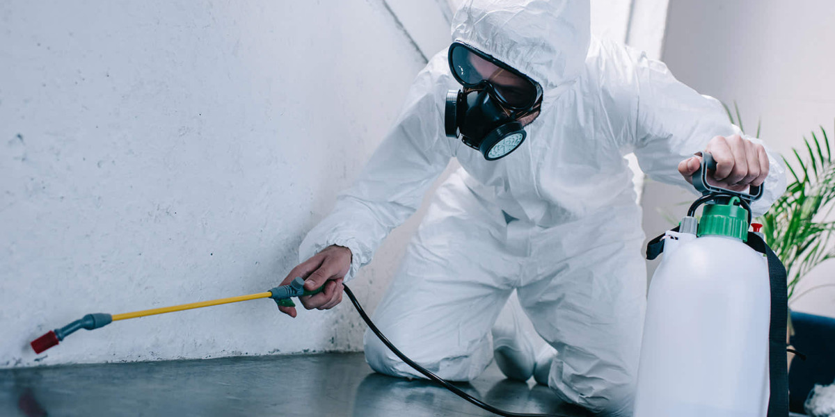The Pros and Cons of Chemical vs. Natural Pest Control