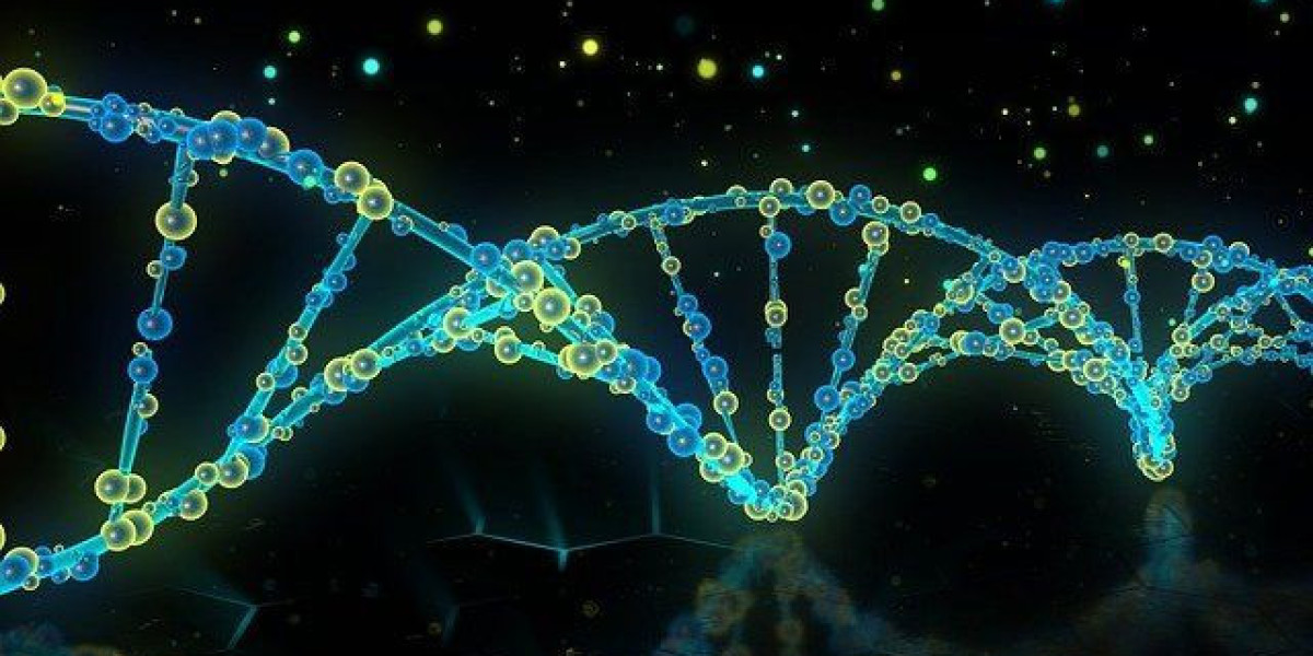 DNA Repair Drugs Market Size, Share, Regional Overview And Global Forecast To 2033