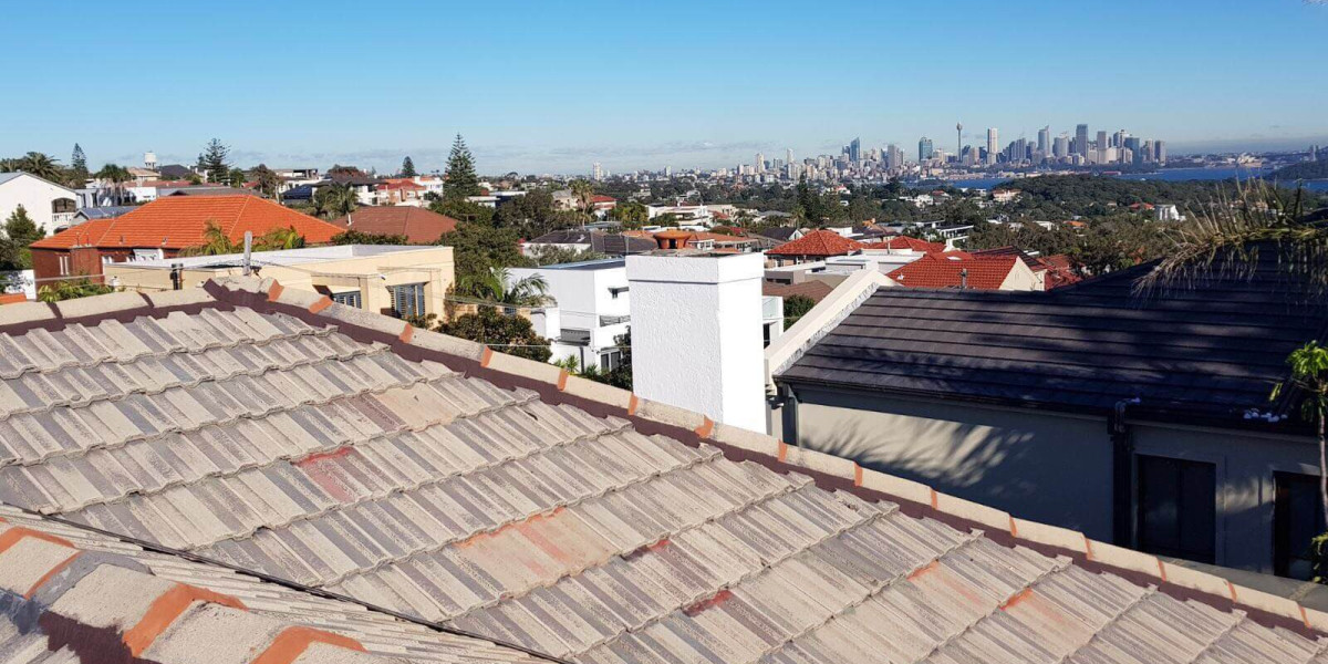 Sydney's Trusted Roof Painting Specialists: Your Home Deserves the Best