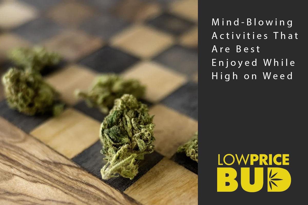 Mind-Blowing Activities That Are Best Enjoyed While High on Weed - Low Price Bud