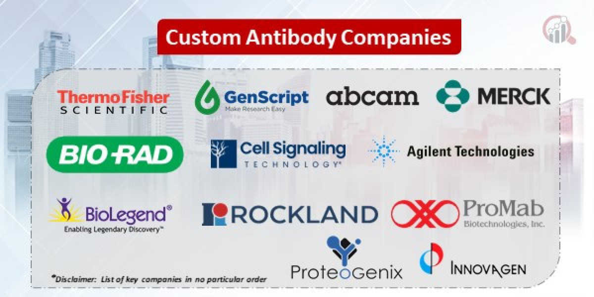 From Bench to Bedside: Custom Antibodies - Revolutionizing Medical Research