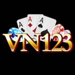 Vn123 Profile Picture