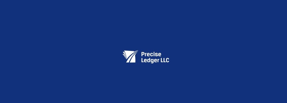 Precise Ledger LLC Cover Image