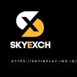 skyinplay game Profile Picture