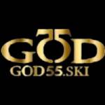 God55 ski Profile Picture