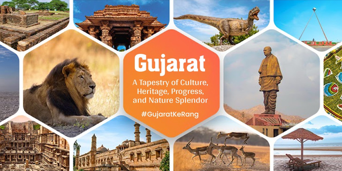 Planning a Gujarat Tour Package: A Comprehensive Guide