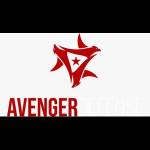 Avenger Defense Profile Picture