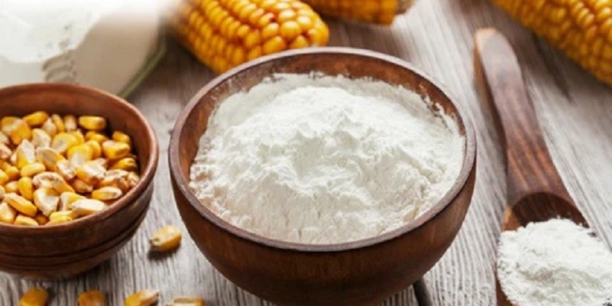 Corn Starch Manufacturing Plant 2024: Project Report, Plant Setup, Manufacturing Process, Material and Cost Involved