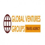 Global Venture Groups Profile Picture