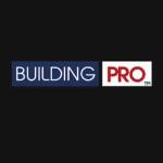 Building Pro Profile Picture