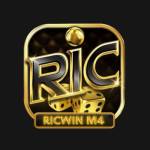 RICWIN M4 Profile Picture