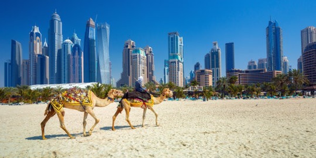 Types of Desert Safari: Discovering the fun activity in Dubai