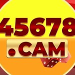 45678cam Profile Picture