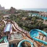 Dubai Theme Parks Profile Picture