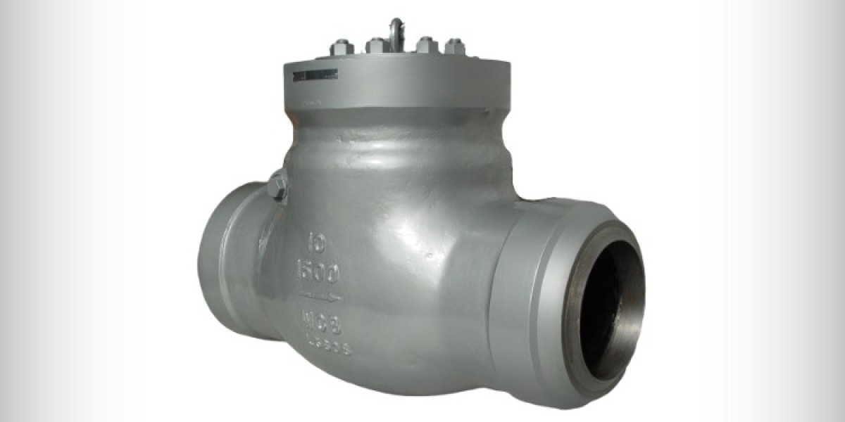 Non Return Valve Manufacturer and Exporter in India