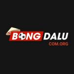 bongdalucom org Profile Picture