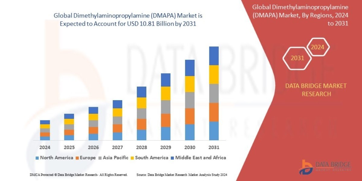 Dimethylaminopropylamine (DMAPA) Market Insights Scope To Grow Their Market Target To Reach Forecast By 2024 - 2031