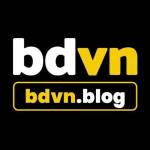 BDVN Blog Profile Picture