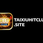 taixiuhitclubsite Profile Picture