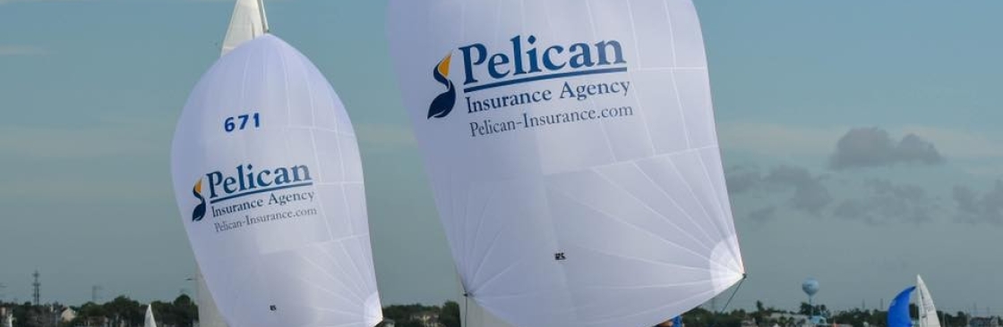 Pelican Insurance Cover Image