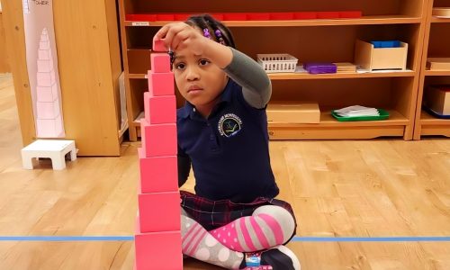 Investigating the Montessori Primary Classroom | A Parent's Guide