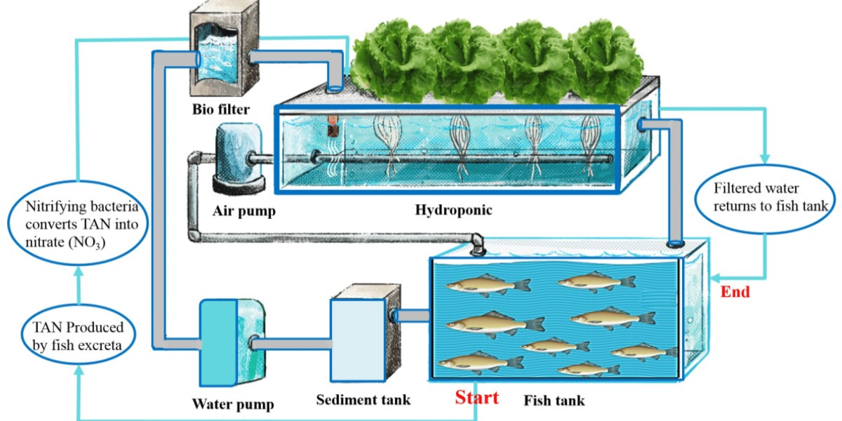 Aquaponics Market 2023 Size, Key Players & Forecast Report to 2032