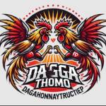 Đá Gà Thomo Trực Tiếp Profile Picture