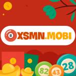 Xem XSNM hôm nay và KQXSMN nhanh nhất tại XSMN MOBI Profile Picture