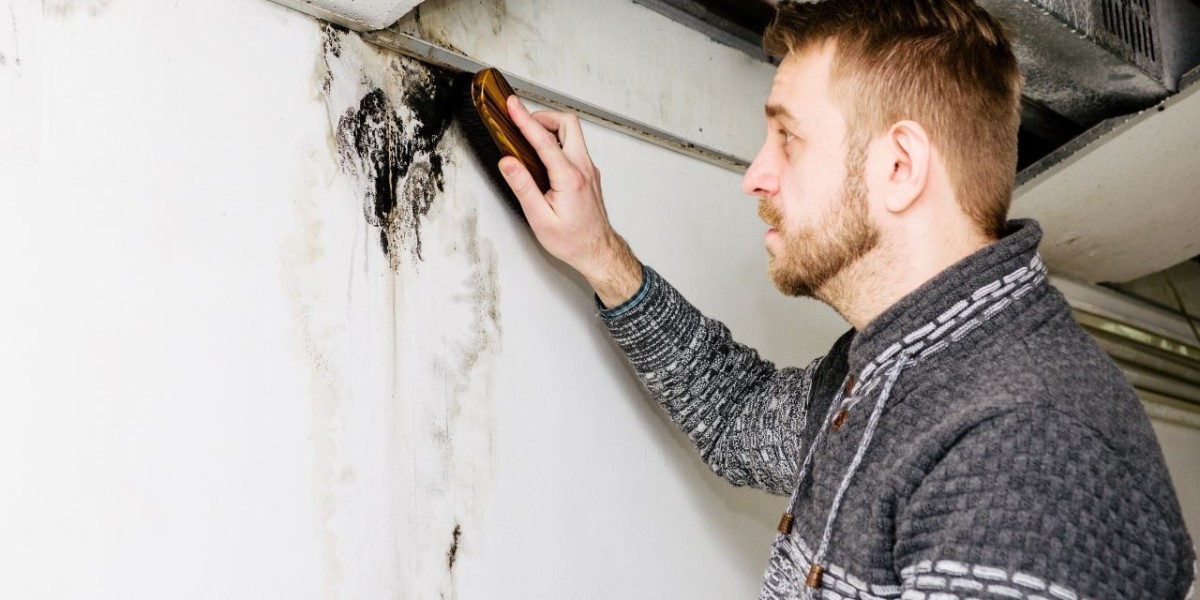 Essential Tools for Ceiling Leakage Repair