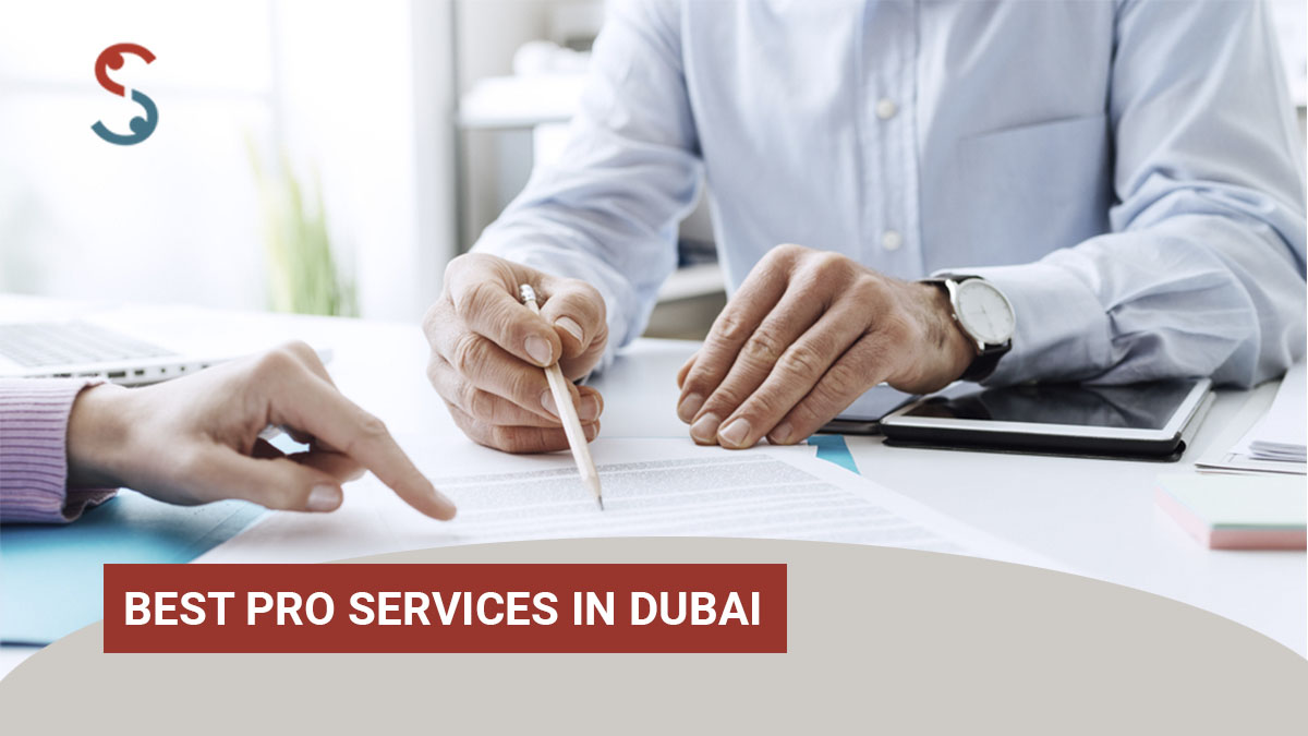 PRO Services in Dubai from India in 2024-25 | #UAE