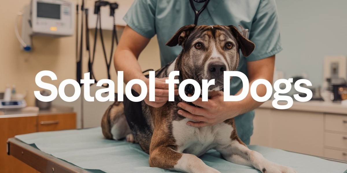 Sotalol: A Lifesaver for Your Dogs Heart