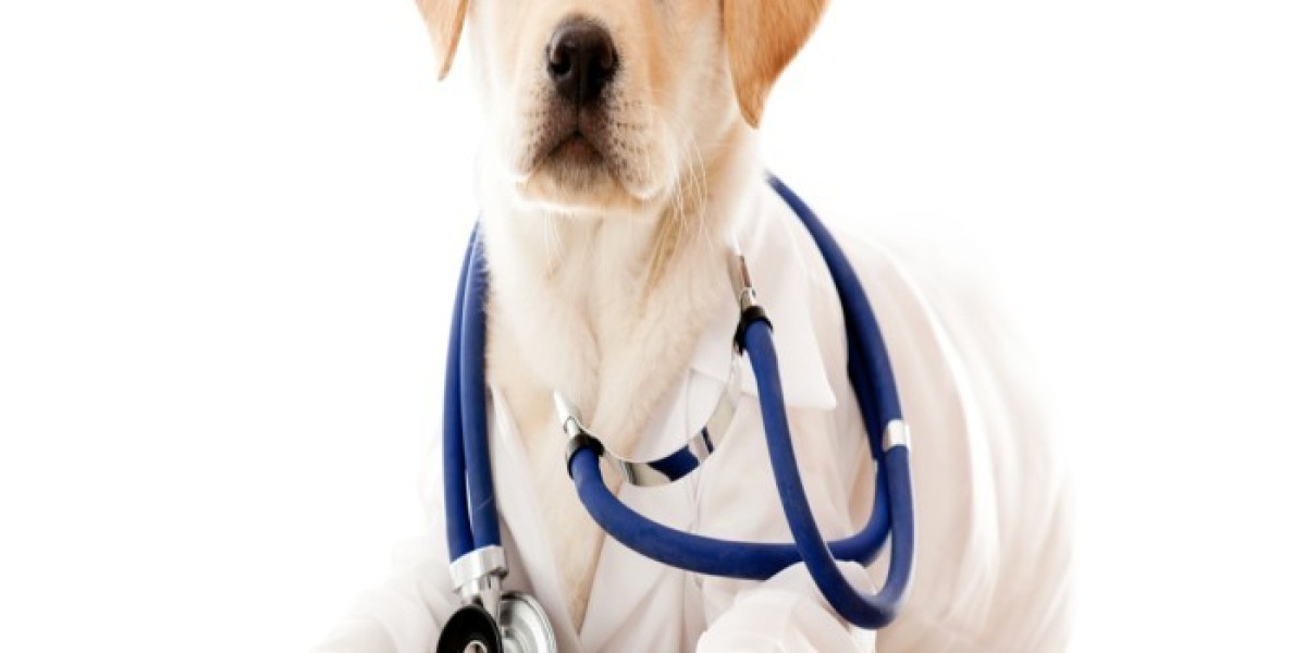 Europe Animal Healthcare Market is Estimated to Witness High Growth Owing to Significant Advancement