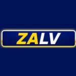 9Zalv Com Profile Picture