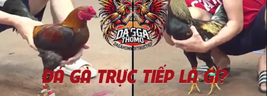 Đá Gà Thomo Trực Tiếp Cover Image