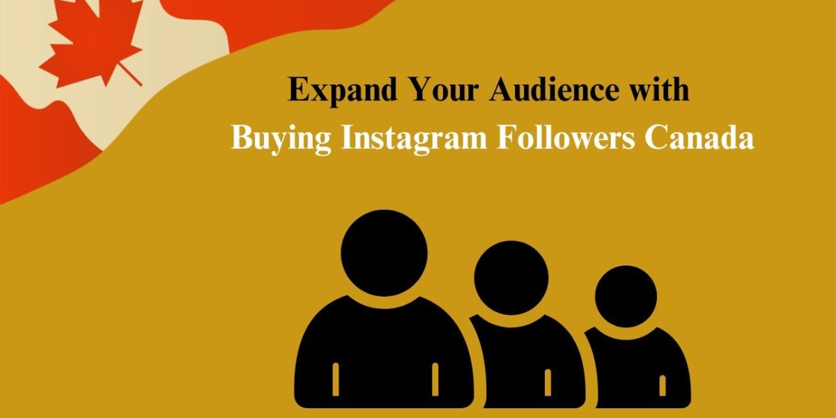 Expand Your Audience with Buying Instagram Followers Canada