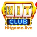 Hit Club Casino Profile Picture