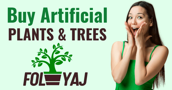 How to Clean and Maintain Your Artificial Plants - Foliyaj