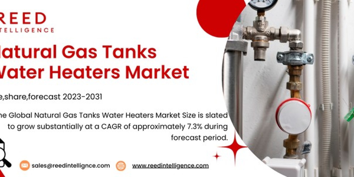 Natural Gas Tank Water Heaters Market Insights: Regional Developments, Key Players, and Future Trends 2024-2032