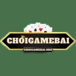 Choigamebai Org Profile Picture