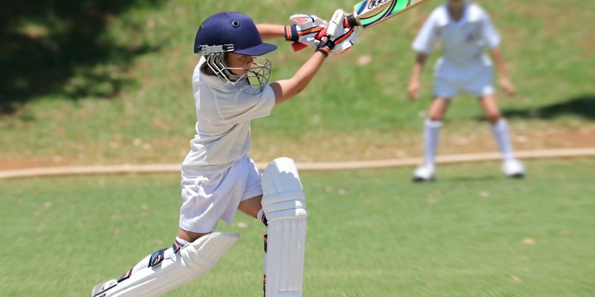 Reddy Anna's Influence on Young Cricketers: Lessons from His Life and Career.