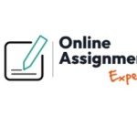 Online Assignment Expert Profile Picture